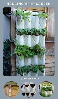 hanging-herb-garden-ideas-93_9 Висящи билки градински идеи
