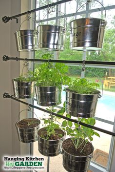 hanging-herb-garden-kitchen-55 Висящи билка градина кухня