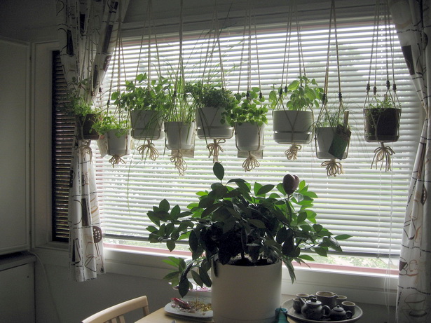 hanging-herb-garden-kitchen-55_16 Висящи билка градина кухня