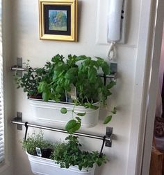 hanging-herb-garden-kitchen-55_5 Висящи билка градина кухня