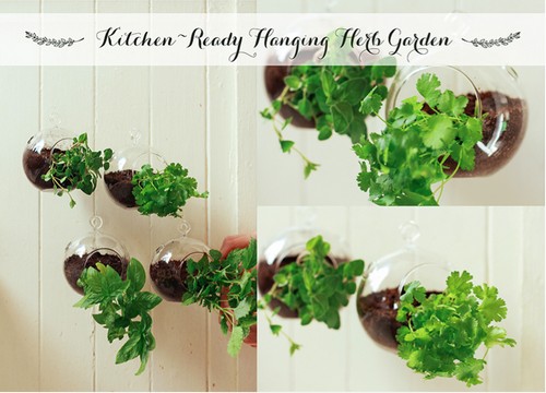 hanging-herbs-in-kitchen-66_13 Висящи билки в кухнята