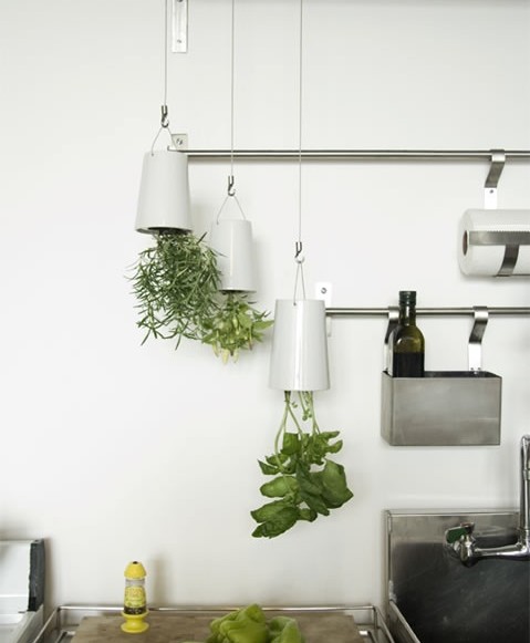 hanging-herbs-in-kitchen-66_6 Висящи билки в кухнята