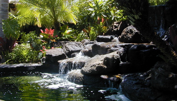 hawaiian-garden-design-90_17 Хавайска градина дизайн