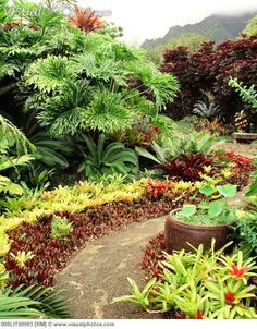 hawaiian-garden-design-90_2 Хавайска градина дизайн