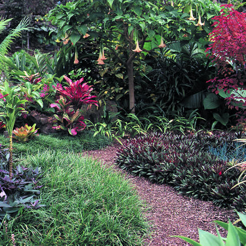 hawaiian-garden-design-90_5 Хавайска градина дизайн