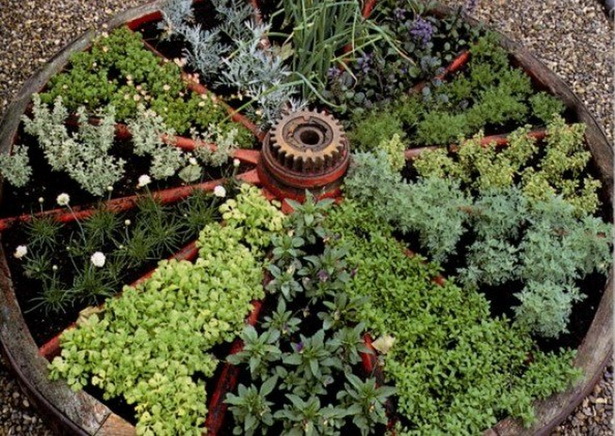 herb-and-vegetable-garden-design-75_6 Билкова и зеленчукова градина дизайн
