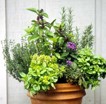 herb-planter-ideas-88_19 Билков плантатор идеи