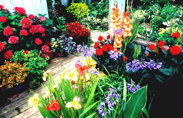 home-flower-beds-99_9 Начало цветни лехи
