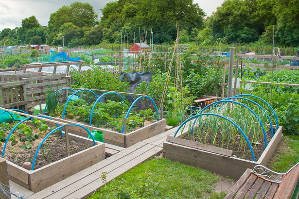 Основен дизайн на зеленчукова градина