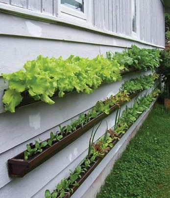 home-vegetable-garden-design-91 Основен дизайн на зеленчукова градина