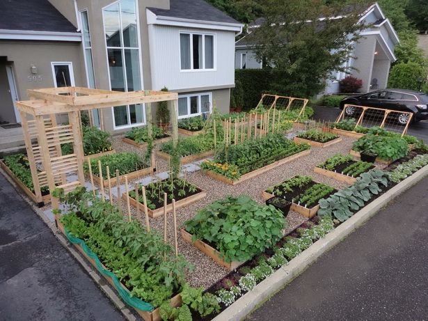 home-vegetable-garden-design-91_4 Основен дизайн на зеленчукова градина