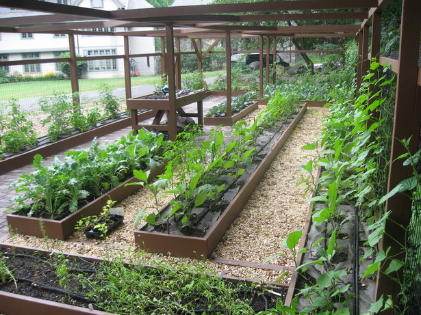 home-vegetable-garden-ideas-12_11 Основен идеи за зеленчукова градина