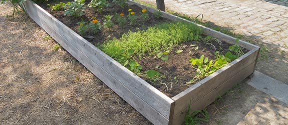home-vegetable-garden-ideas-12_14 Основен идеи за зеленчукова градина