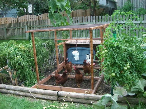 home-vegetable-garden-ideas-12_17 Основен идеи за зеленчукова градина