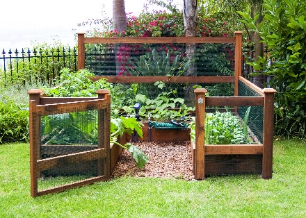 home-vegetable-garden-ideas-12_5 Основен идеи за зеленчукова градина