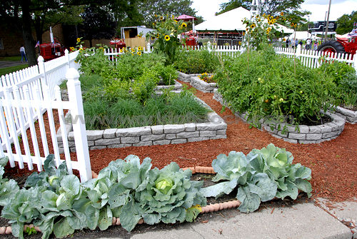 home-vegetable-garden-26_15 Начало зеленчукова градина