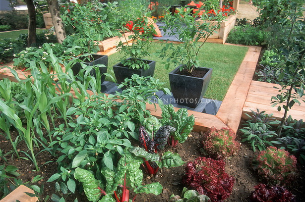home-vegetable-gardens-46_16 Начало зеленчукови градини