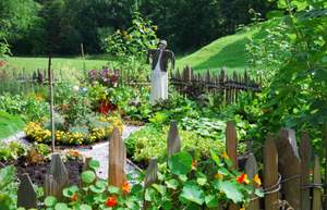 home-vegetable-gardens-46_4 Начало зеленчукови градини