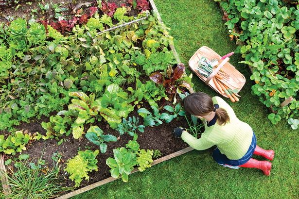 home-vegetable-gardens-46_5 Начало зеленчукови градини