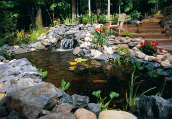homemade-backyard-ponds-71_6 Домашни Дворни езера