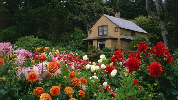 Къща цветна градина