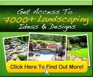 ideas-4-landscaping-79_2 Идеи 4 озеленяване