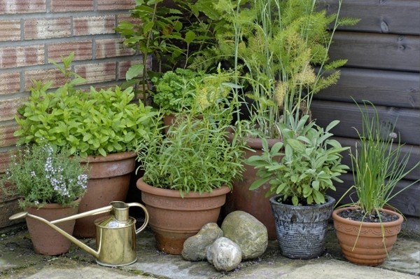ideas-for-a-herb-garden-79_14 Идеи за билкова градина