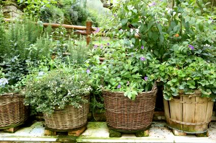 ideas-for-a-herb-garden-79_19 Идеи за билкова градина