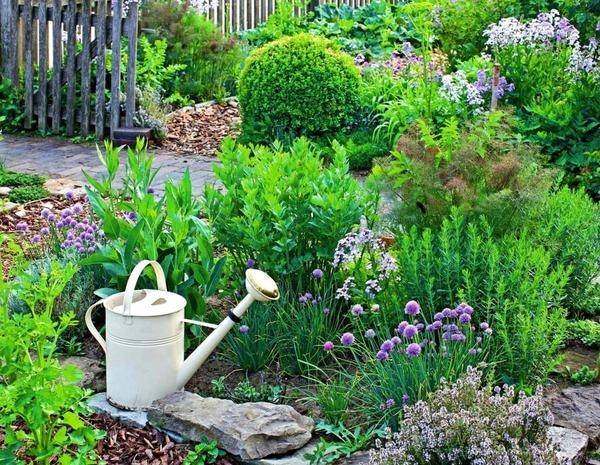 ideas-for-a-herb-garden-79_7 Идеи за билкова градина