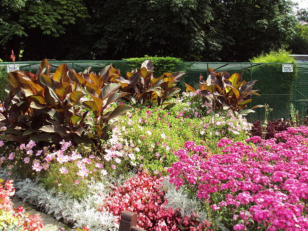 ideas-for-planting-flower-beds-35_19 Идеи за засаждане на цветни лехи