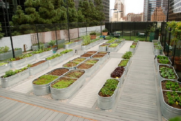 ideas-for-raised-vegetable-gardens-51_12 Идеи за повдигнати зеленчукови градини