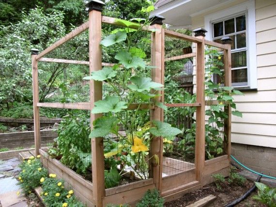 ideas-for-raised-vegetable-gardens-51_15 Идеи за повдигнати зеленчукови градини