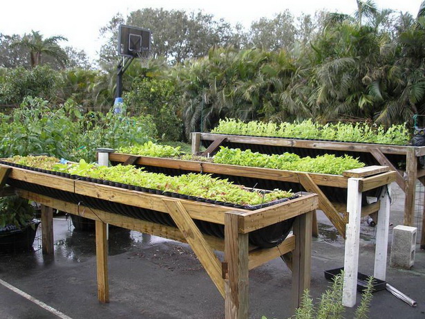 ideas-for-raised-vegetable-gardens-51_17 Идеи за повдигнати зеленчукови градини