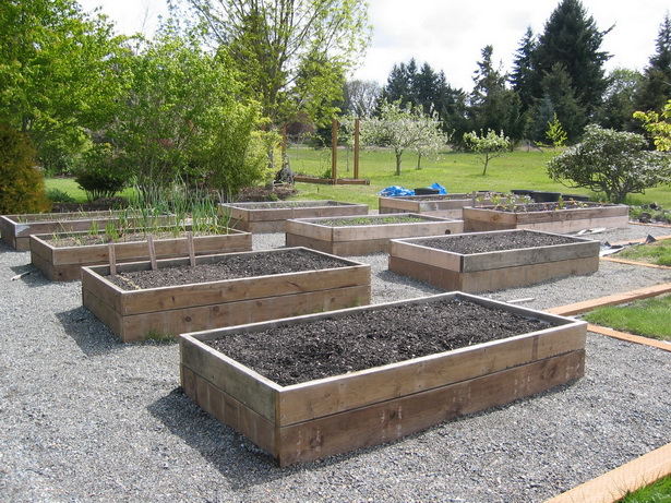ideas-for-raised-vegetable-gardens-51_4 Идеи за повдигнати зеленчукови градини
