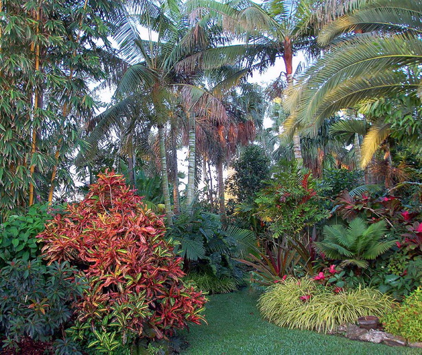 images-of-tropical-gardens-44_10 Снимки на тропически градини