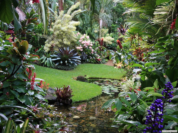 images-of-tropical-gardens-44_8 Снимки на тропически градини