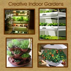 indoor-vegetable-garden-20_13 Вътрешна зеленчукова градина