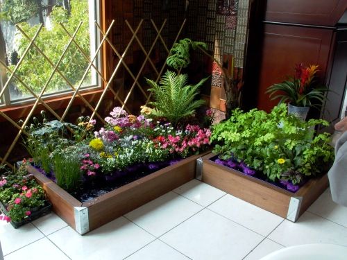 indoor-vegetable-garden-20_3 Вътрешна зеленчукова градина