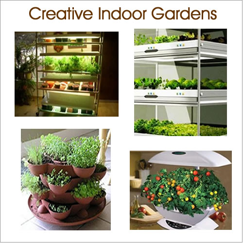 indoor-vegetable-garden-20_9 Вътрешна зеленчукова градина