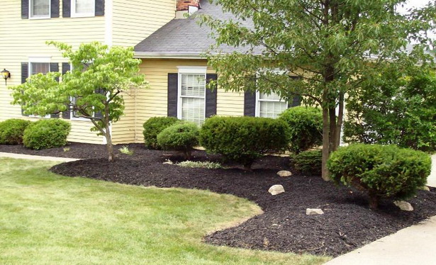 inexpensive-landscaping-ideas-for-small-front-yard-33_7 Евтини идеи за озеленяване за малък преден двор
