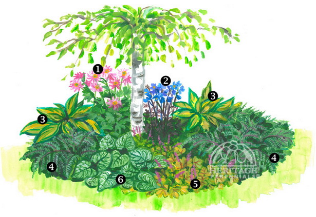 island-bed-garden-design-59_18 Дизайн на градината на островното легло