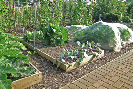 kitchen-garden-raised-beds-41_11 Кухня градина повдигнати легла