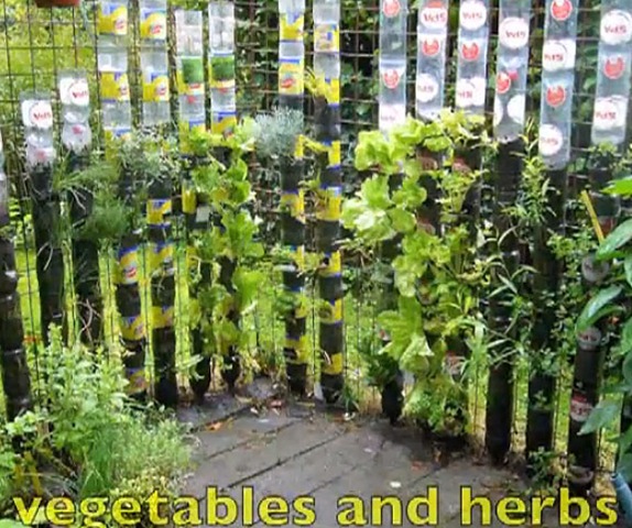 kitchen-garden-vegetables-94_13 Кухня градински зеленчуци