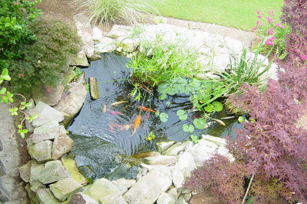 koi-garden-pond-30_11 Кой градинско езерце