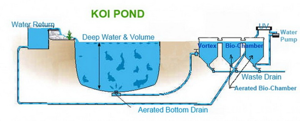 koi-pond-builders-62_10 Кой езерце строители