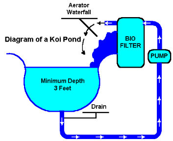koi-pond-design-construction-35 Кой езерце дизайн строителство