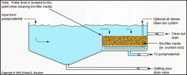 koi-pond-filter-system-design-33 Кой езерце филтър система дизайн