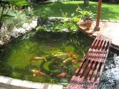 koi-pond-landscaping-ideas-66_6 Кои езерце идеи за озеленяване
