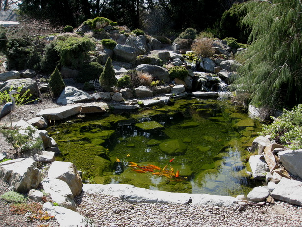 koi-pond-maintenance-91_11 Поддръжка кой езерце