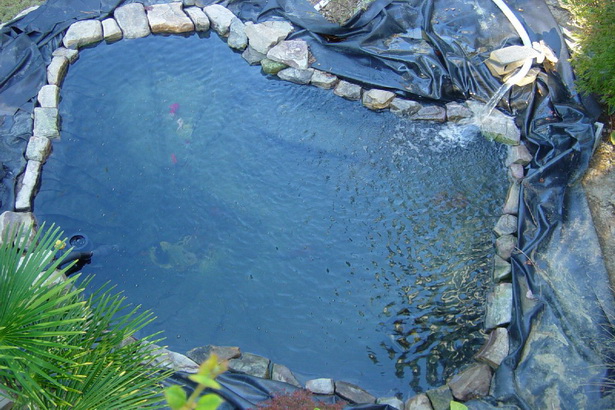 koi-pond-water-44_10 Езерна вода кои